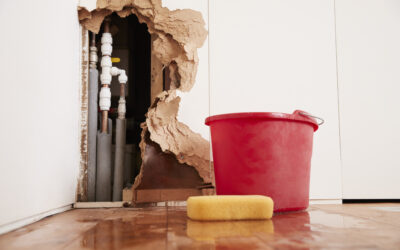 Immediate Actions to Manage Water Damage in Commercial Spaces
