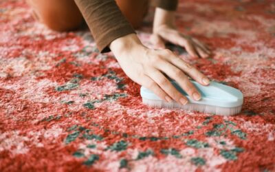 The Impact of Regular Carpet Cleaning on Indoor Air Quality