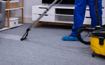 Pet Stain & Carpet Cleaning V2