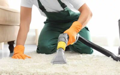 Pet Stain & Carpet Cleaning