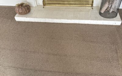 Pet Stain & Carpet Cleaning