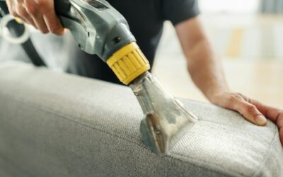 Dealing with Pet Odors on Upholstery