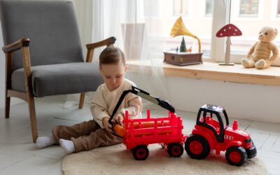 Seasonal Maintenance Tips for Area Rugs