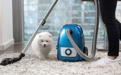 Pet-Friendly Carpet Cleaning Tips